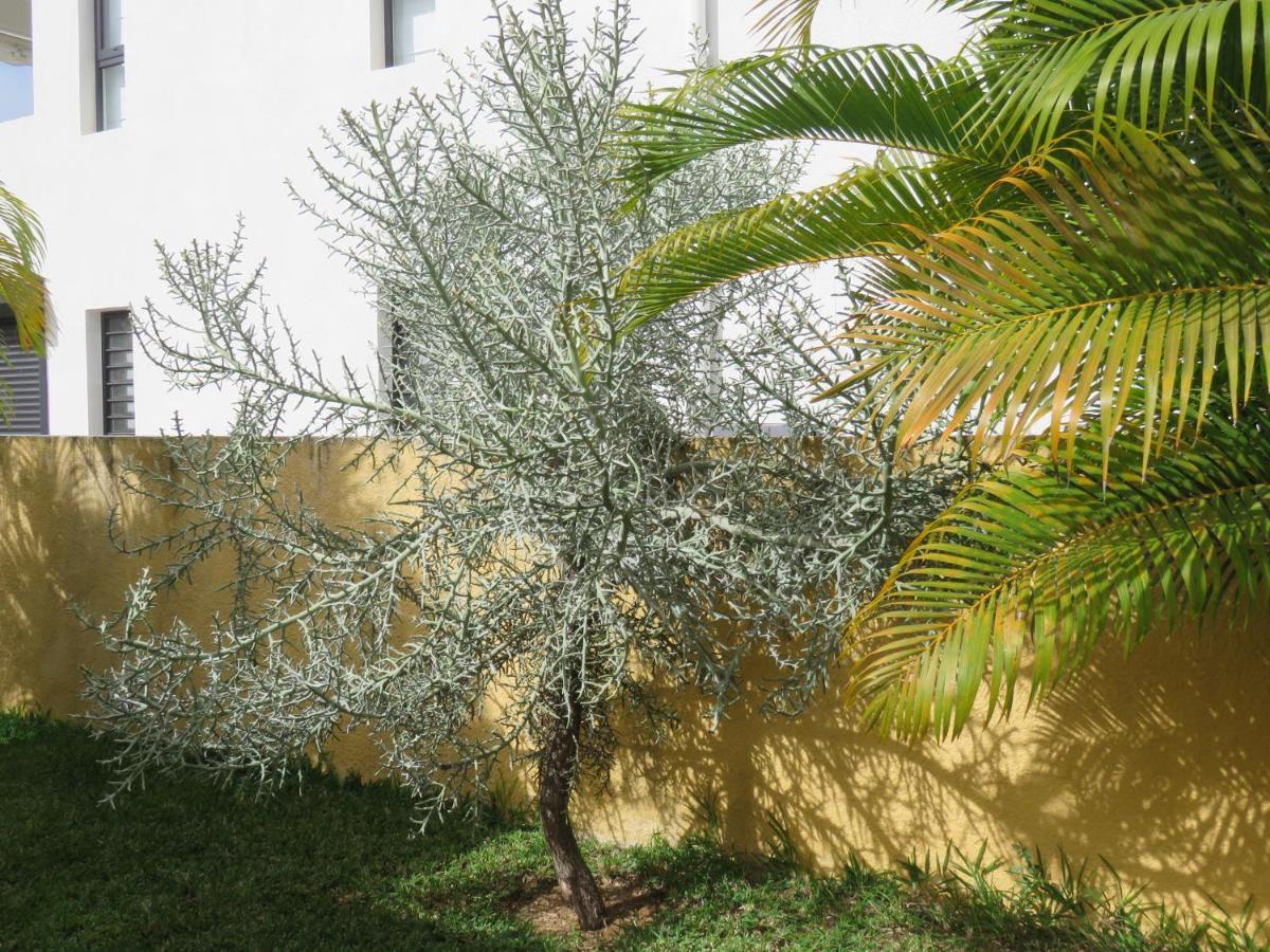 Villa Canelle Trou aux Biches Kültér fotó